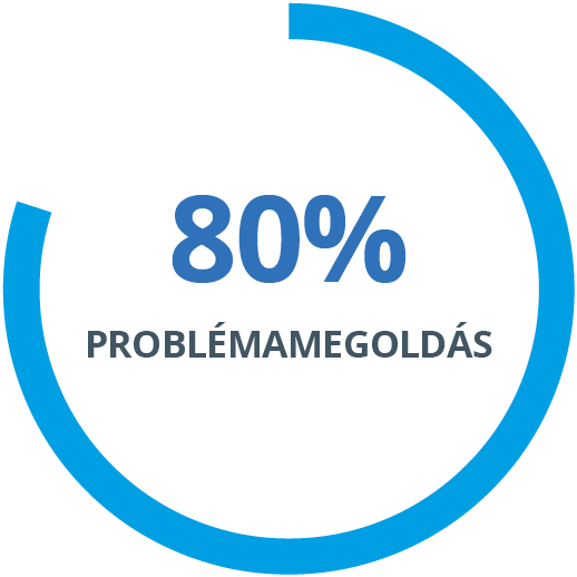 80% Issue Resolution