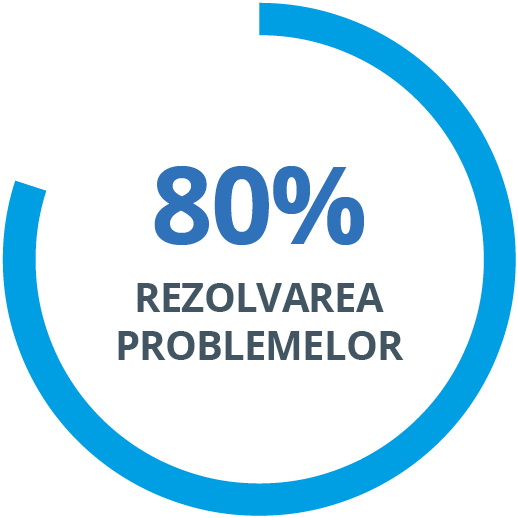 80% Issue Resolution